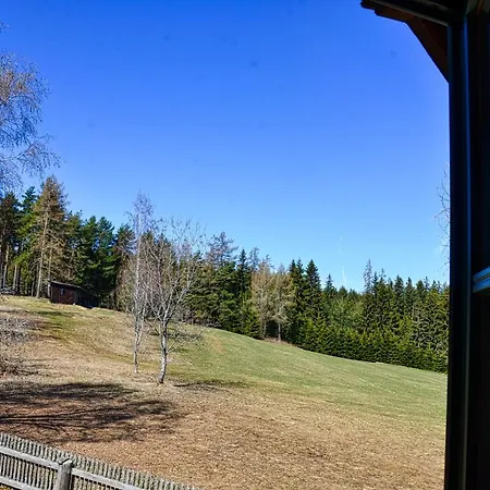 Waldtraum