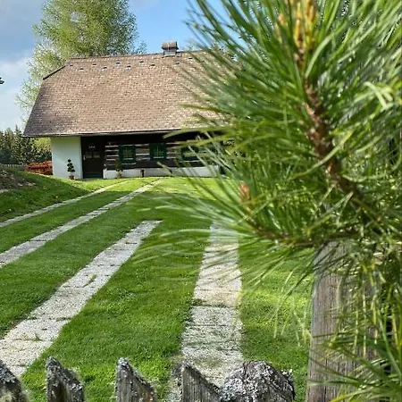 Waldtraum